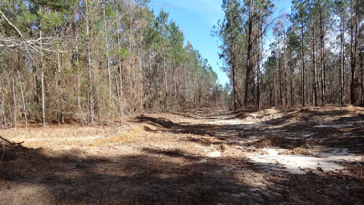 TBD-CR-979-–-CUSHING--MLS#-22300017--1200px
