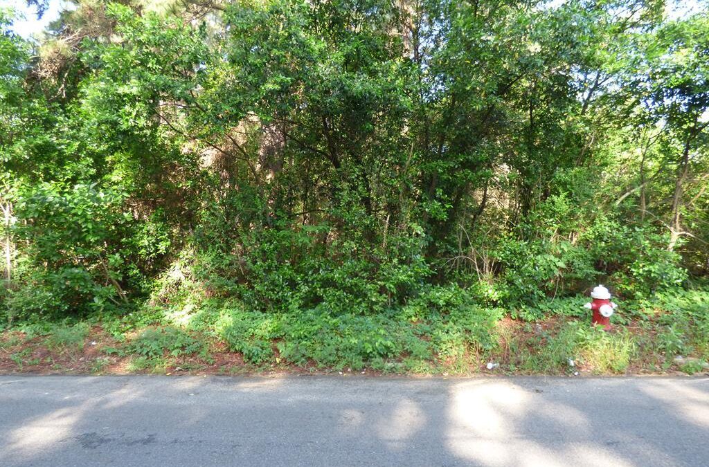 TBD N Ritchie – $15,000 – MLS# 22500697
