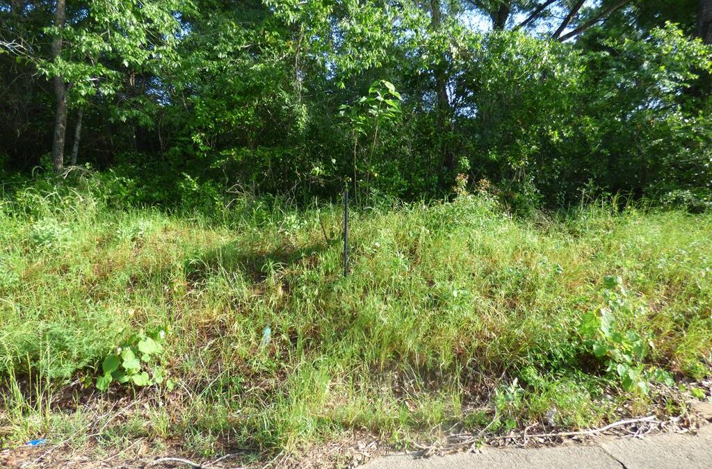 1610 Powers Street – $10,000 – MLS# 22500698