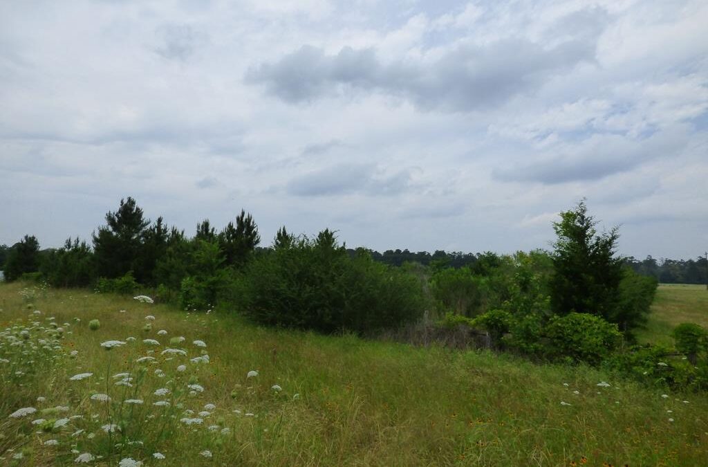 1282 SH 204 – $45,900 – MLS# 22500855